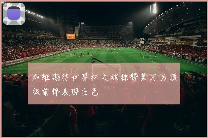 加维期待世界杯之旅称赞莱万为顶级前锋表现出色