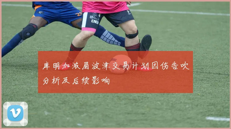 库明加浓眉波津交易计划因伤告吹分析及后续影响